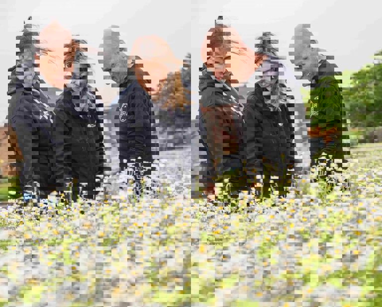 Three people standing next to the wildflowers