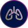 lung icon